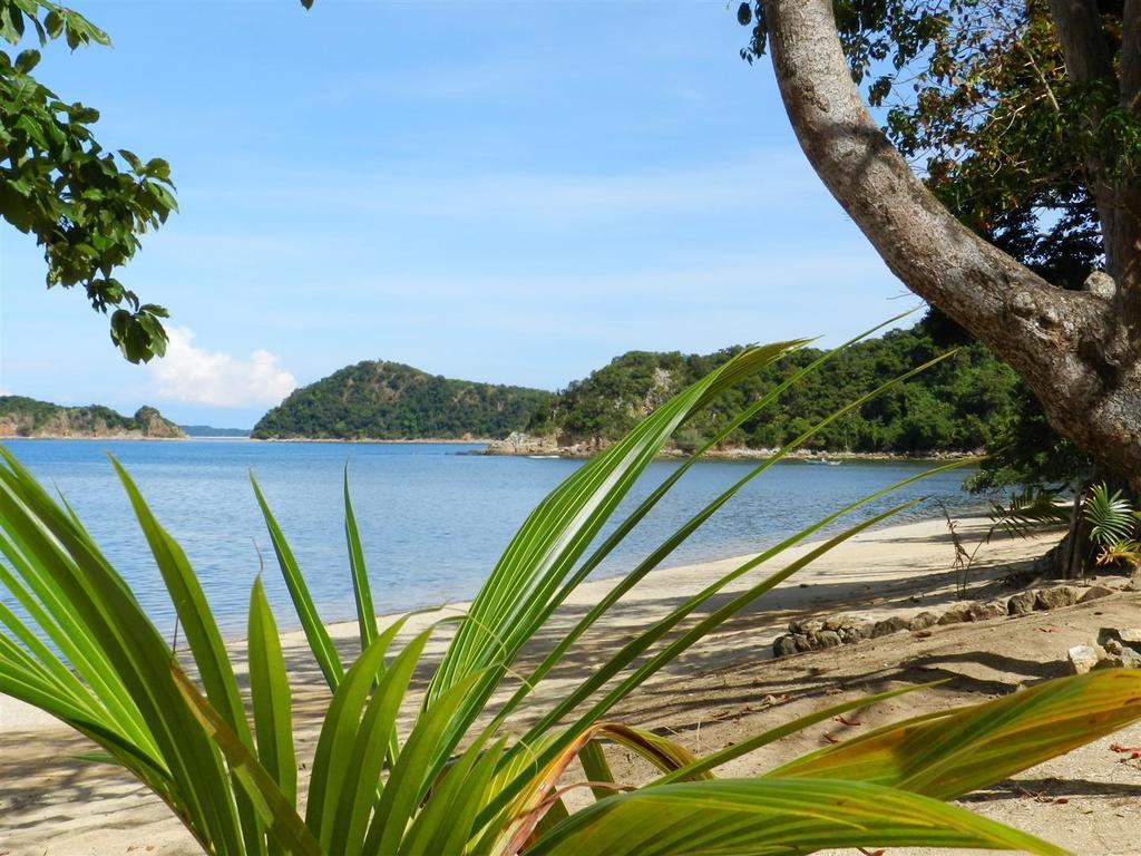 Cashew Grove Beach Resort Busuanga Zewnętrze zdjęcie