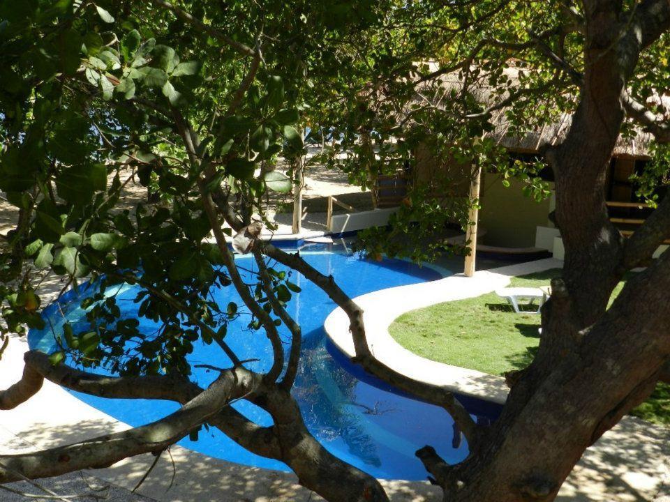 Cashew Grove Beach Resort Busuanga Zewnętrze zdjęcie