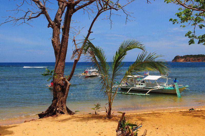 Cashew Grove Beach Resort Busuanga Zewnętrze zdjęcie